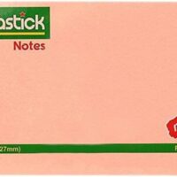 16220-Fantastick Stick Notes FK N305